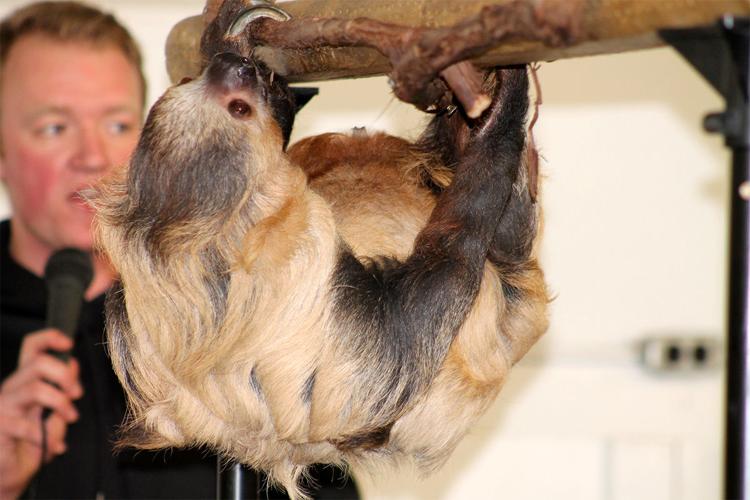 columbus-zoo-visits-pike-county-news-newswatchman