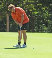 Two Pike teams and three individuals qualify for the district golf tournament