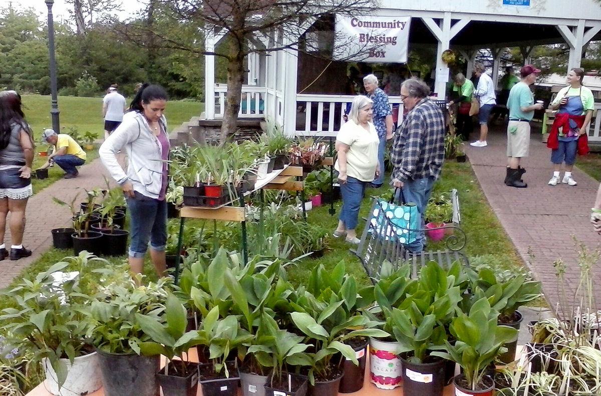 Waverly Garden Club plans for Annual Plant Sale News