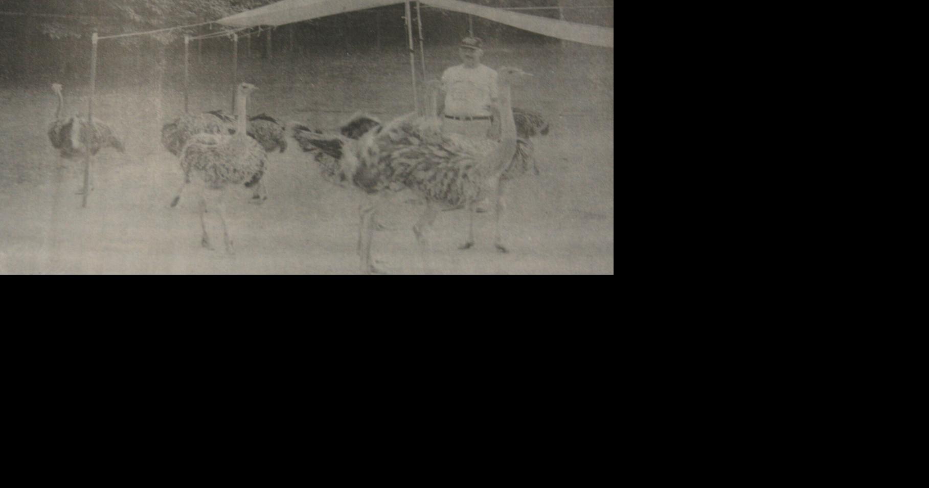 From the Archives | Community | newswatchman.com