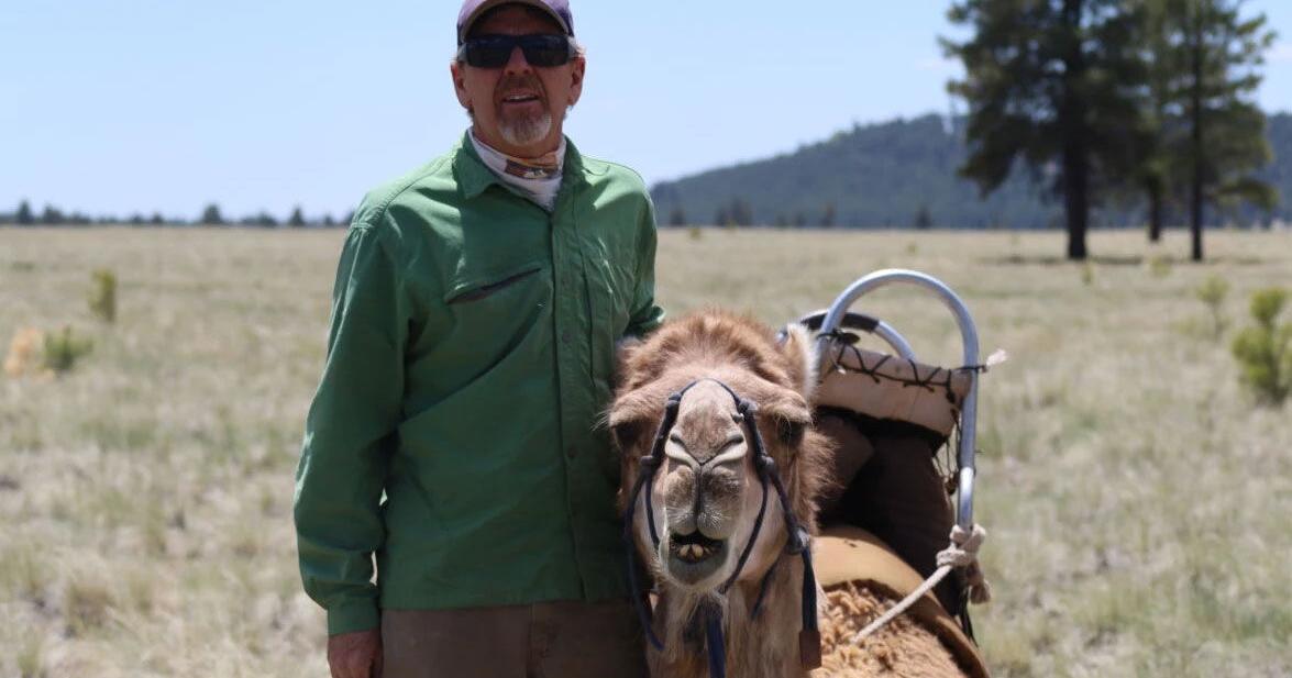 Living History: Trekkers experience Arizona's camel legacy