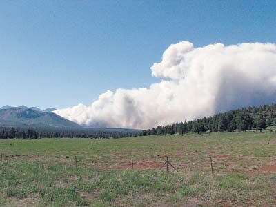 Weekend Wildfires Burn Flagstaff Area | News | Nhonews.com