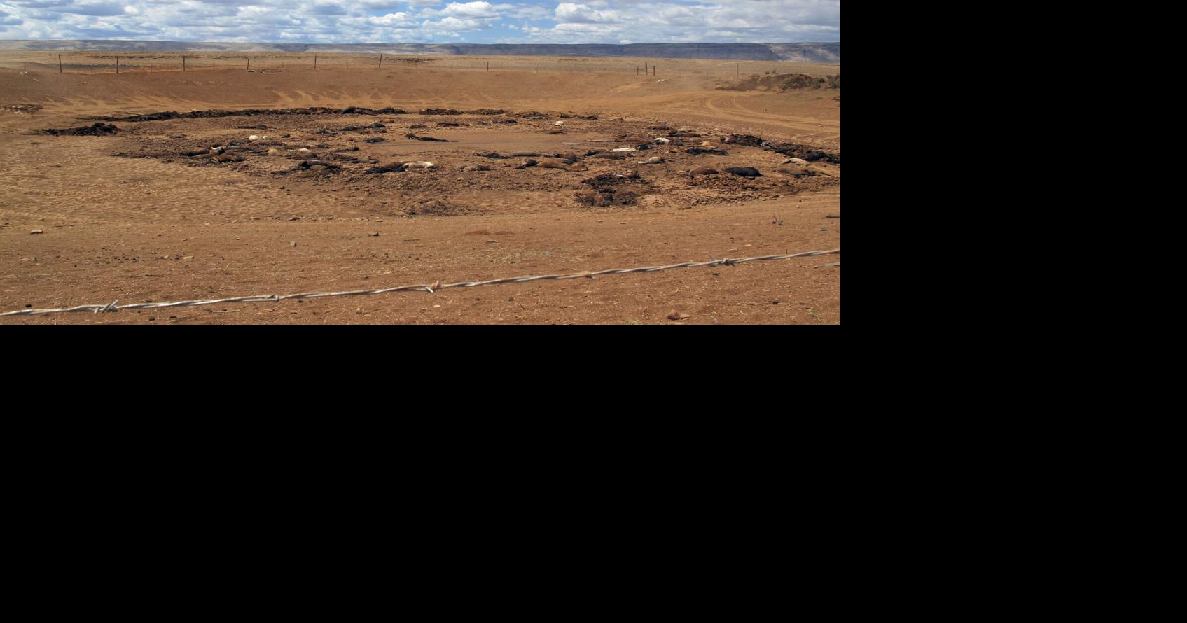 Federal Emergency Management Agency declares new strategy to engage ...