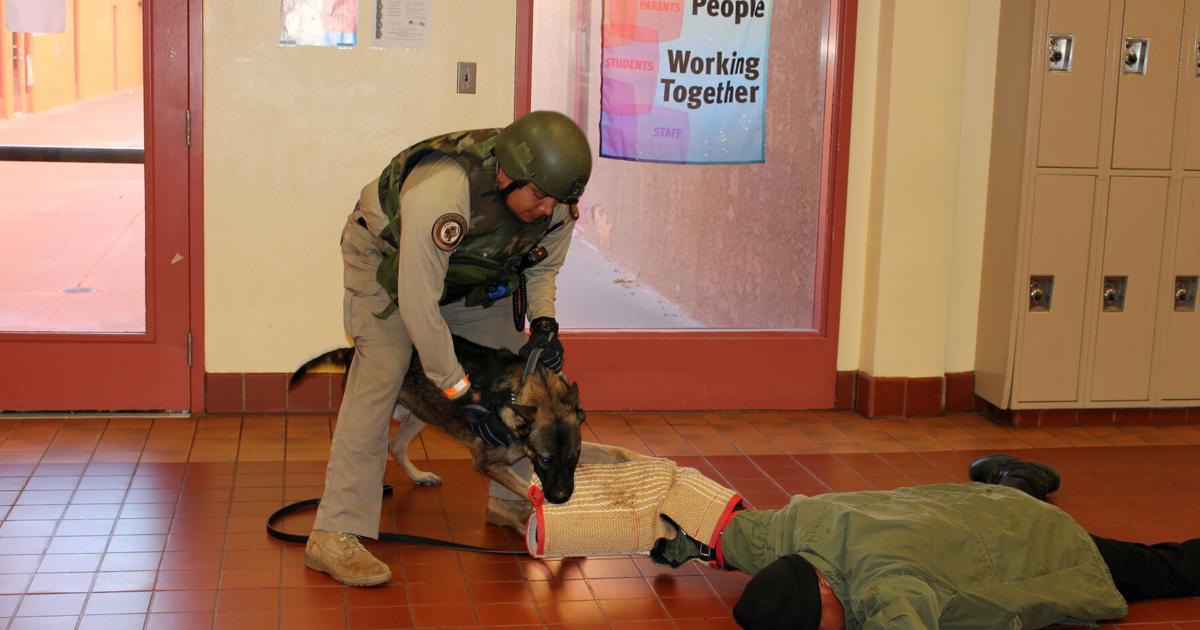 Hopi Jr Active shooter drill takes Hopi Jr./Sr. High by storm, receives high ...