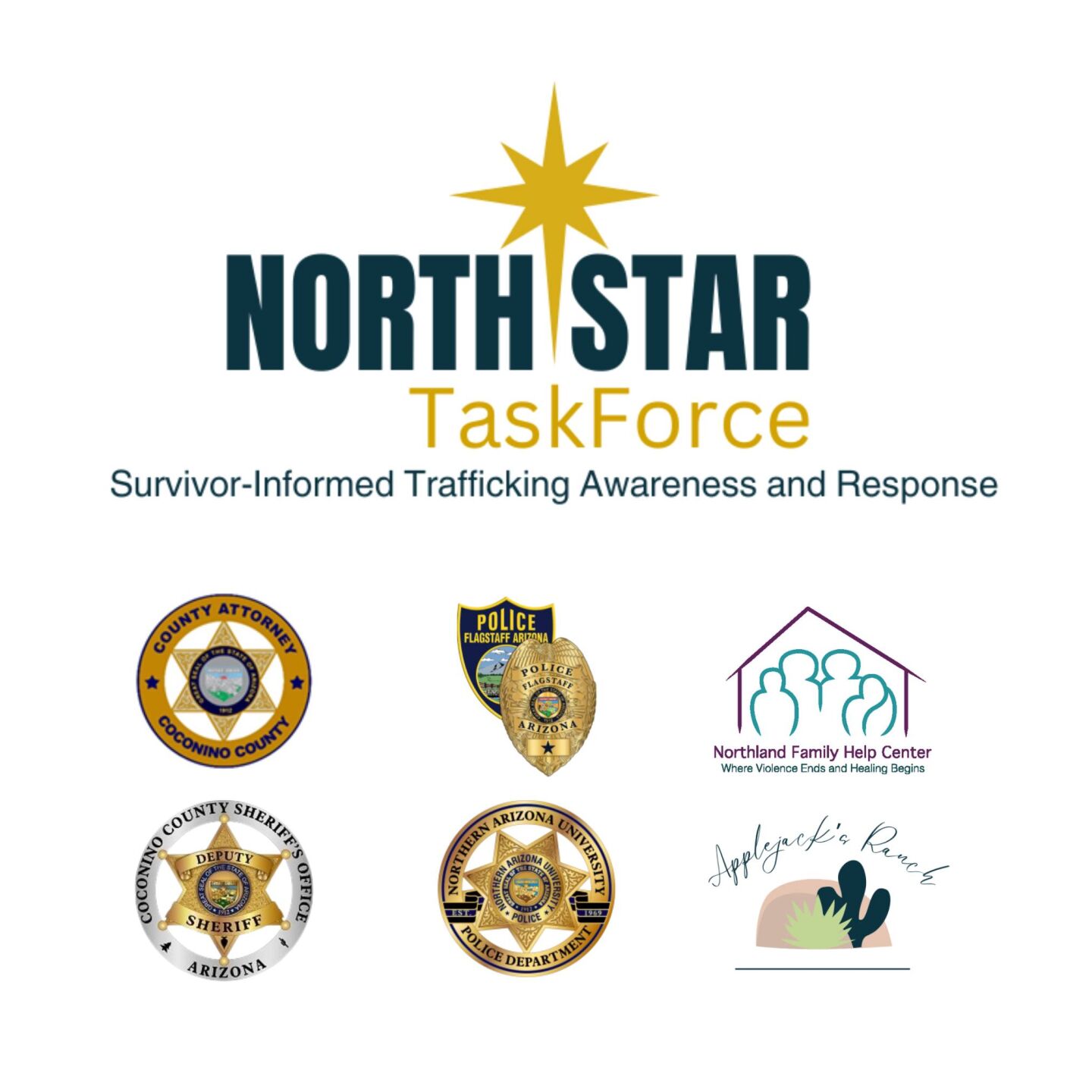 North Star Task Force launches effort to combat human trafficking in ...