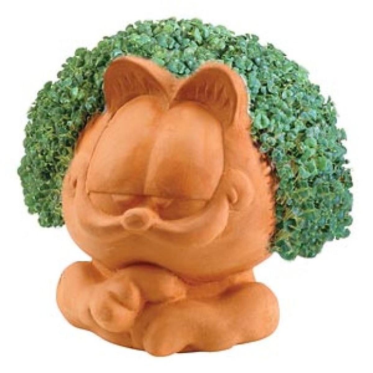 Natural Health Chia Seeds Can Do Much For Your Health Lifestyles Niagara Gazette Com In the mayan culture, chia actually means strength. natural health chia seeds can do much