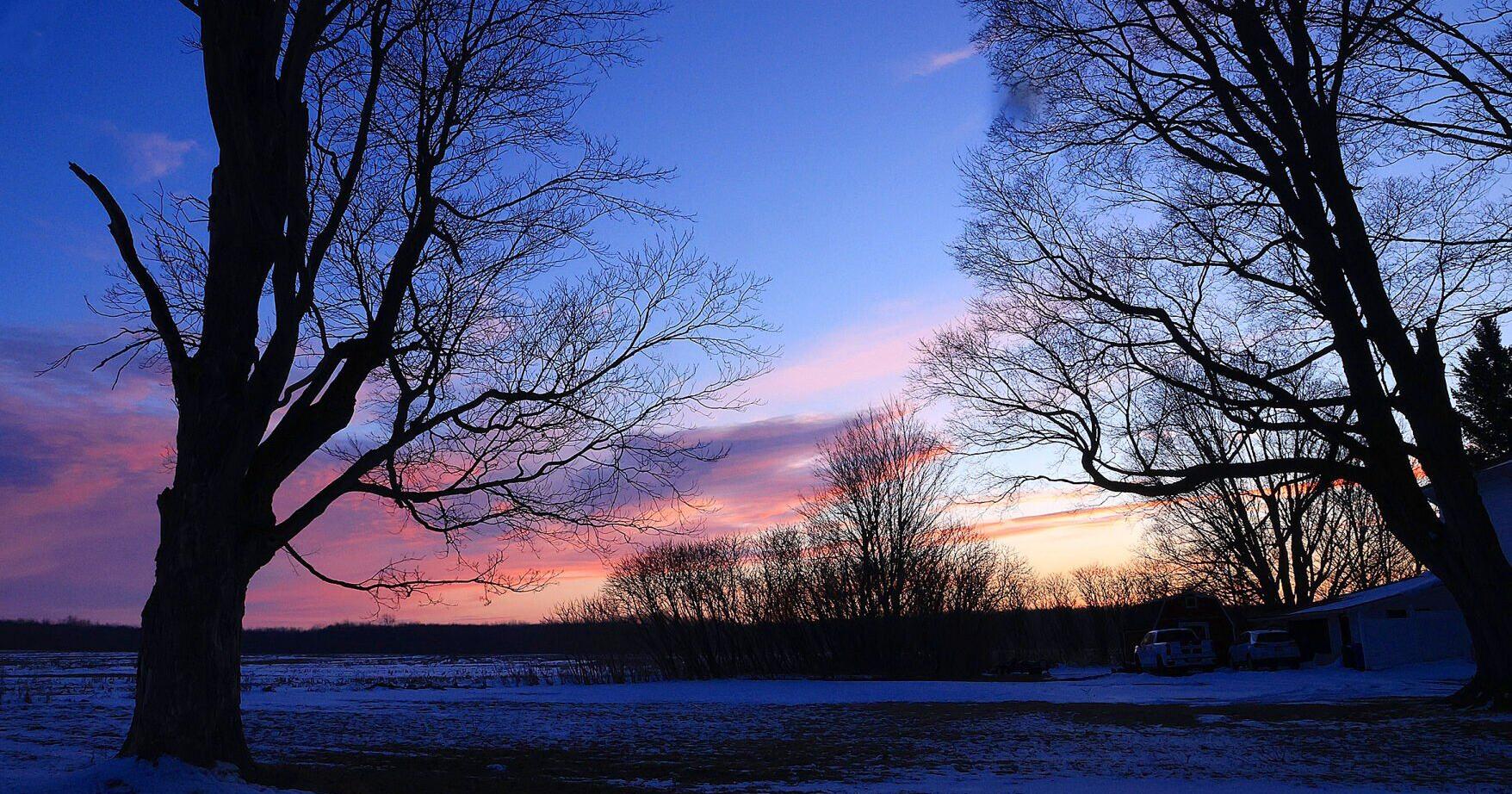 THE GREAT OUTDOORS: More ways to improve your nature photography - Vimarsana News
