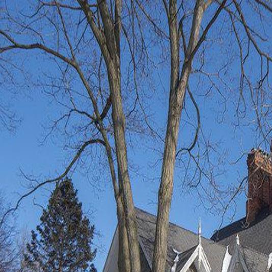 Showing Off The Historic Holley Rankine House In The Falls Local News Niagara Gazette Com