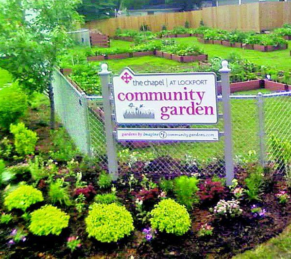 Community garden online near me