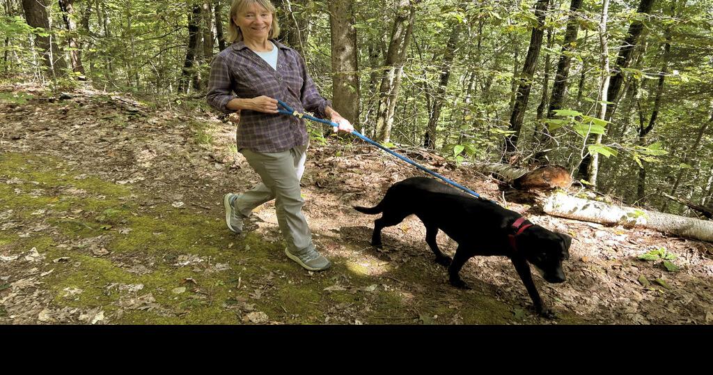 Dogs bring loads of joy but also perils on a leash | Lifestyles