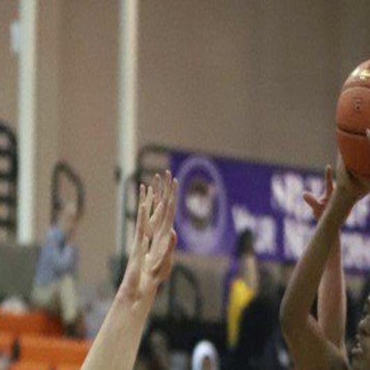 Lancaster Outlasts Niagara Falls In Aa Semis Sports Niagara