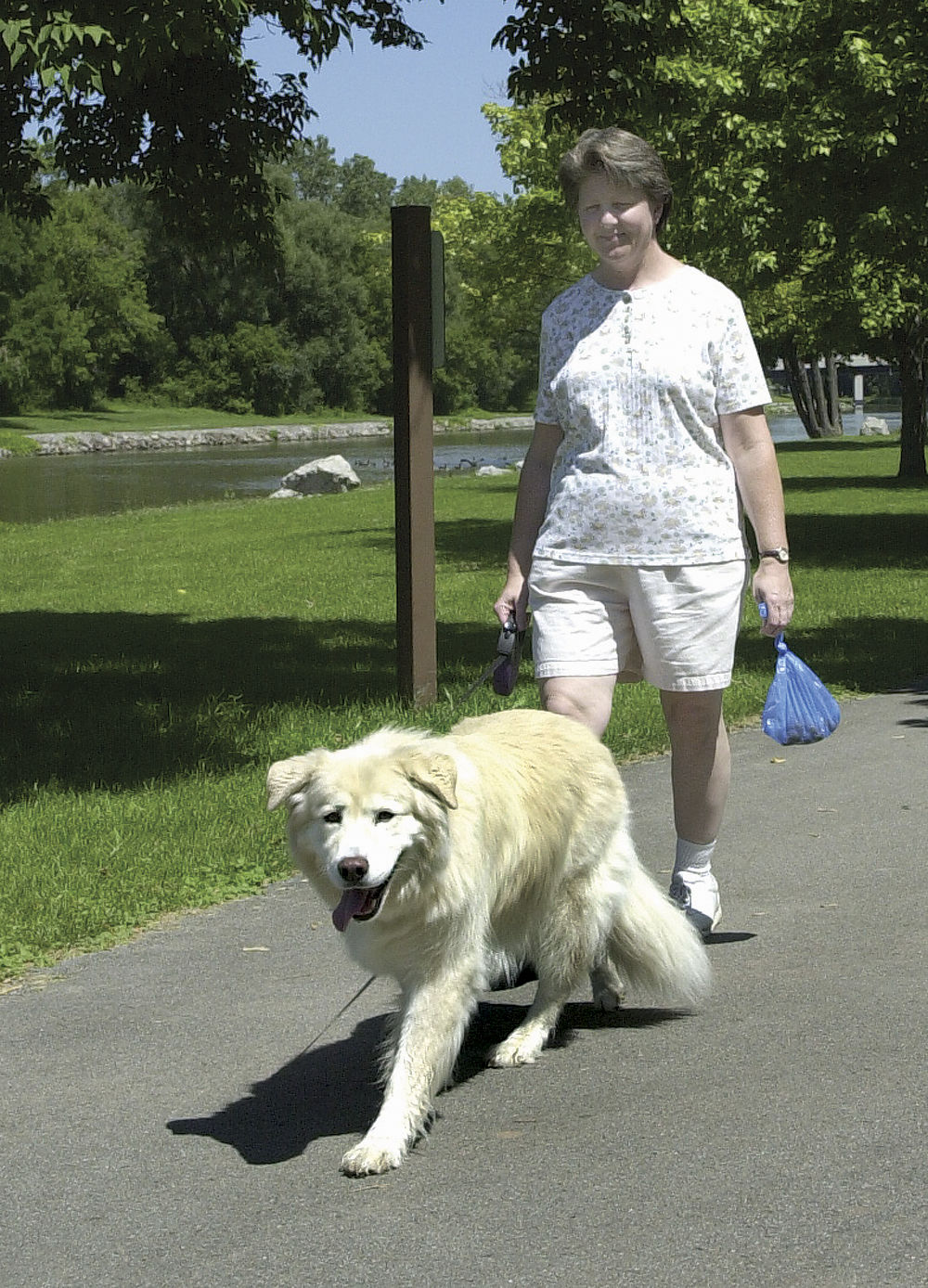 060809 Walking the Dog