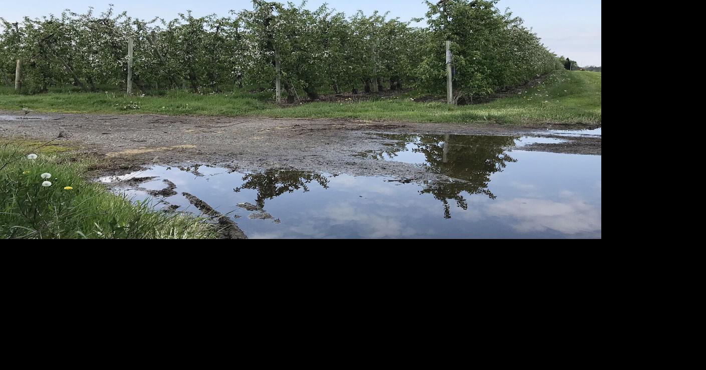 Niagara County included in USDA disaster declaration