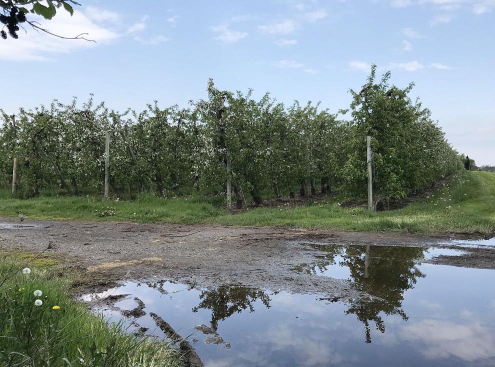 Niagara County included in USDA disaster declaration