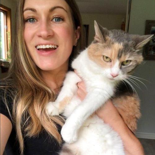 Grumpy Cat gives her humans plenty of reasons to smile – Twin Cities