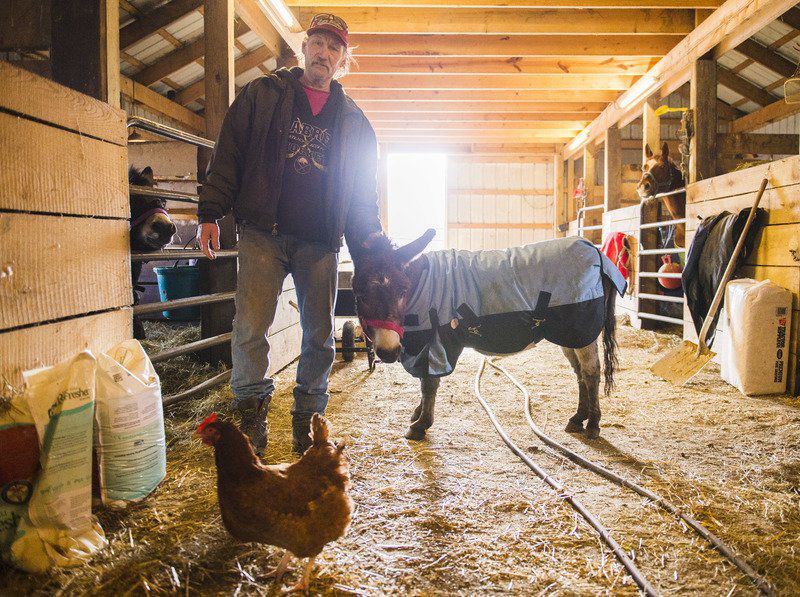 Animal sanctuary looks for volunteers, assistance Local News