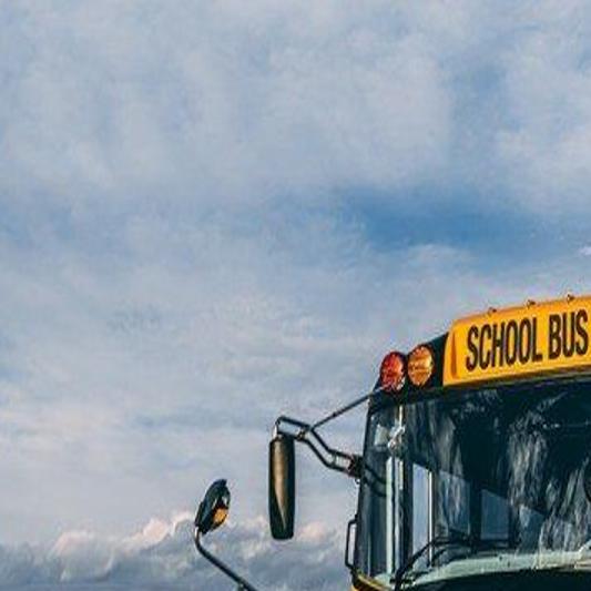 NY schools given five years to buy electric buses | Local ...