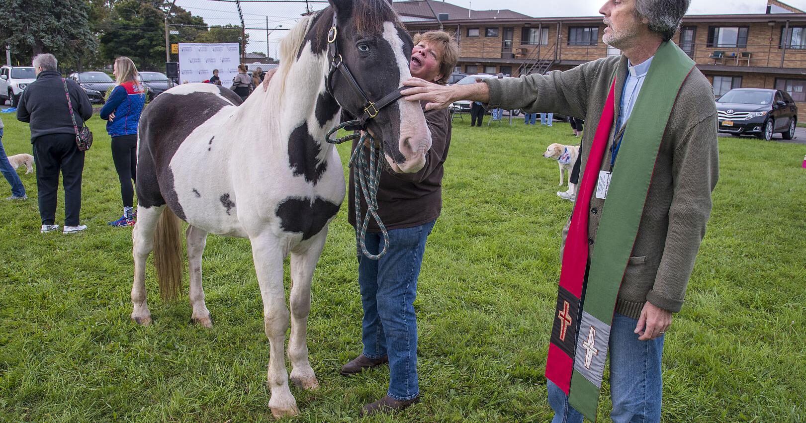 Community Missions hosting second annual Blessing of the Animals on Saturday - Vimarsana News