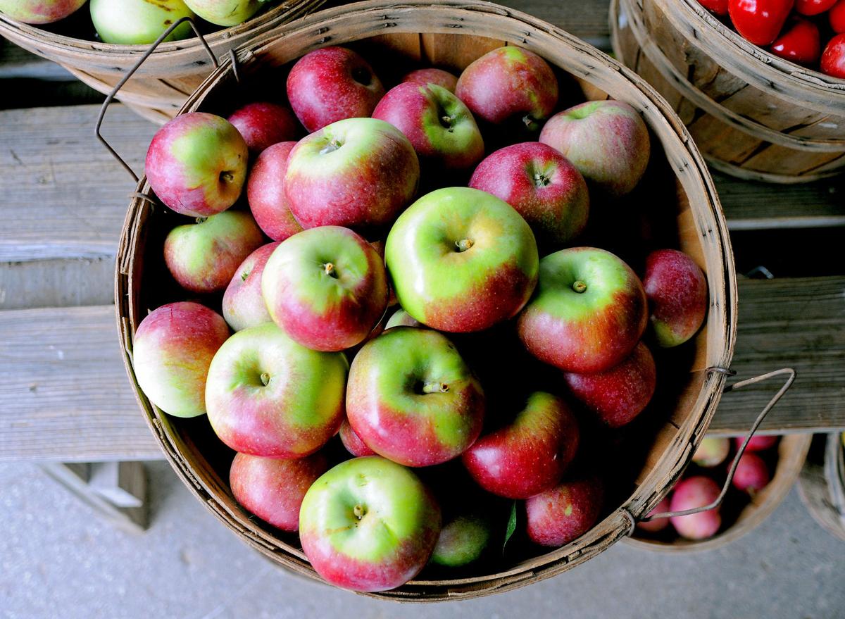 Harvest When And Where To Pick Your Own Apples In The Niagara Region Lifestyles Niagara Gazette Com
