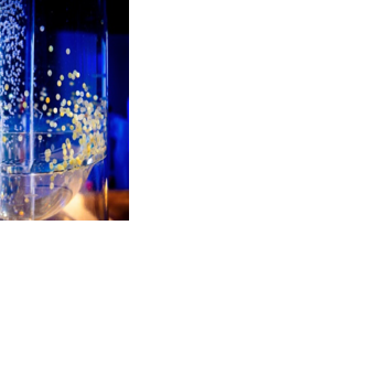 2024: The year of AI at UB | Web Extra