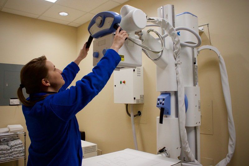 Urgent Care Center Lockport Ny acne symptoms