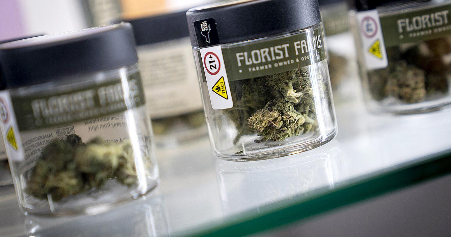 UB experts weigh in on DEA's reclassification of cannabis | Local News - Vimarsana News
