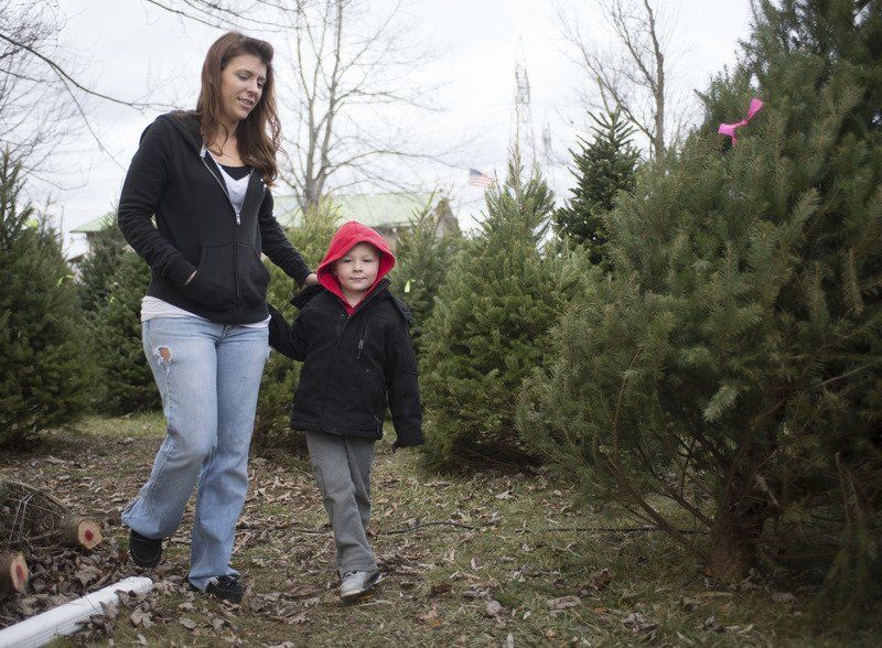 Finding That Perfect Christmas Tree Finding That Perfect Christmas Tree
