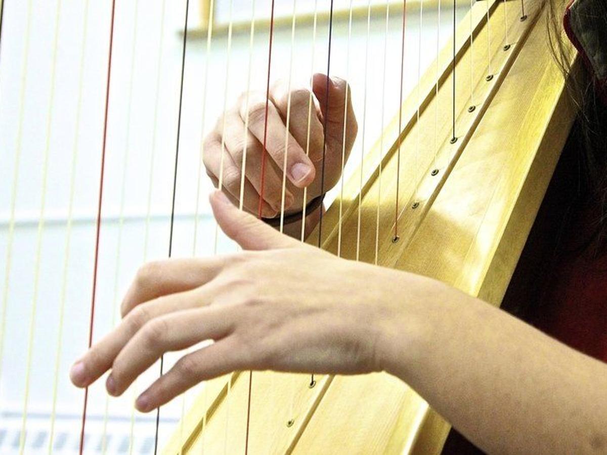 Suzuki Harp Method Book 1 Suzuki Harp Method Book 1