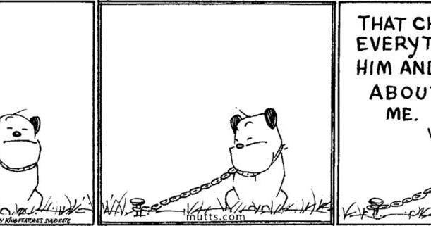 Breaking the chains: Creator of comic strip 'Mutts' frees his Guard Dog character after decades - Vimarsana News