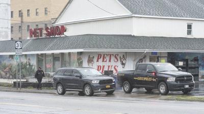 Spca Comments On Pets Plus Investigation Local News Niagara Gazette Com