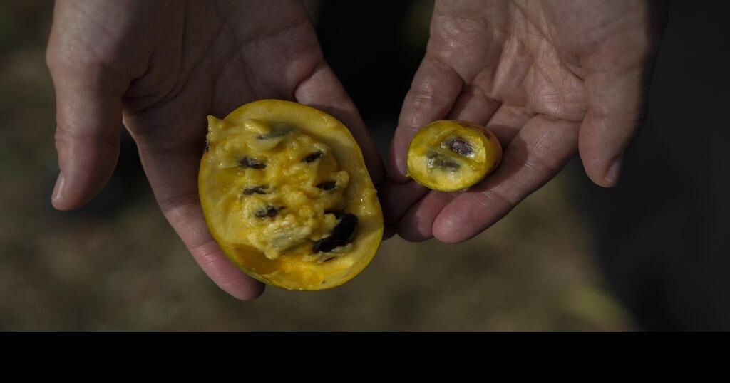 Drought and shifting weather patterns affect North America's largest