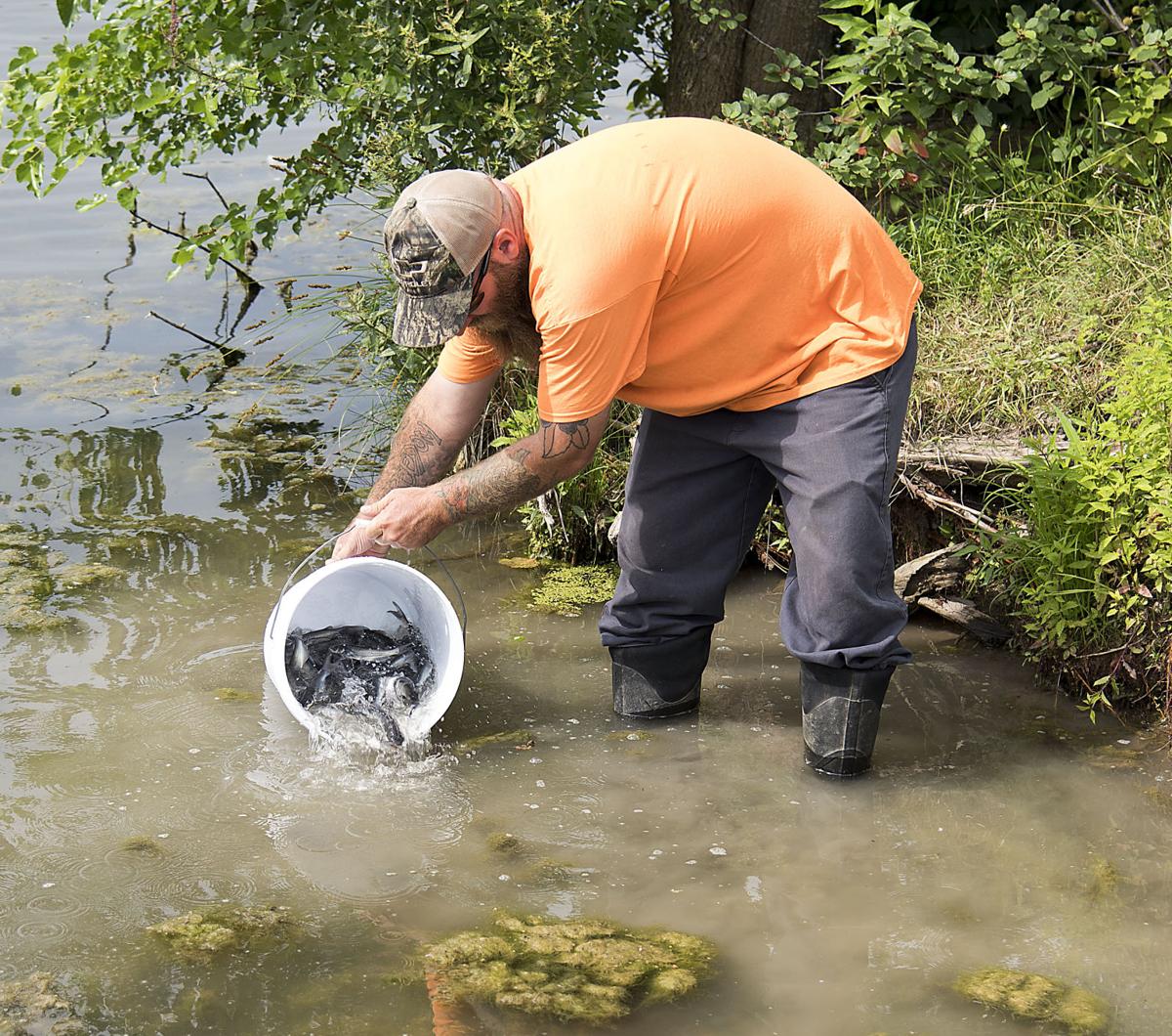 SLIDESHOW Catfish dumped into Hyde Park Lake Gallery niagara
