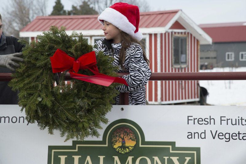 holiday local farm offers free christmas trees to needy families - Free Christmas Trees For Low Income Families holiday local farm offers free christmas trees to needy families - Free Christmas Trees For Low Income Families