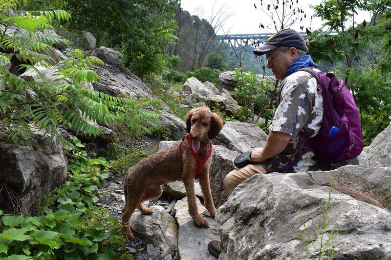 GENCO: Summertime wildflowers: A cacophony of color covers the restored gorge canvas | Belief