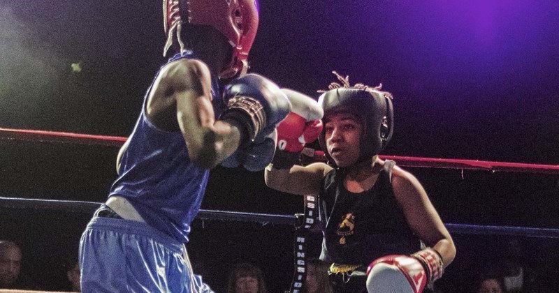 Joe Rood Boxer Hackney Top WNY boxers invade Rapids | Local Sports | niagara-gazette.com