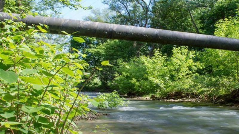 Report Average Cancer Rates Near Eighteen Mile Creek Local News Niagara Gazette Com
