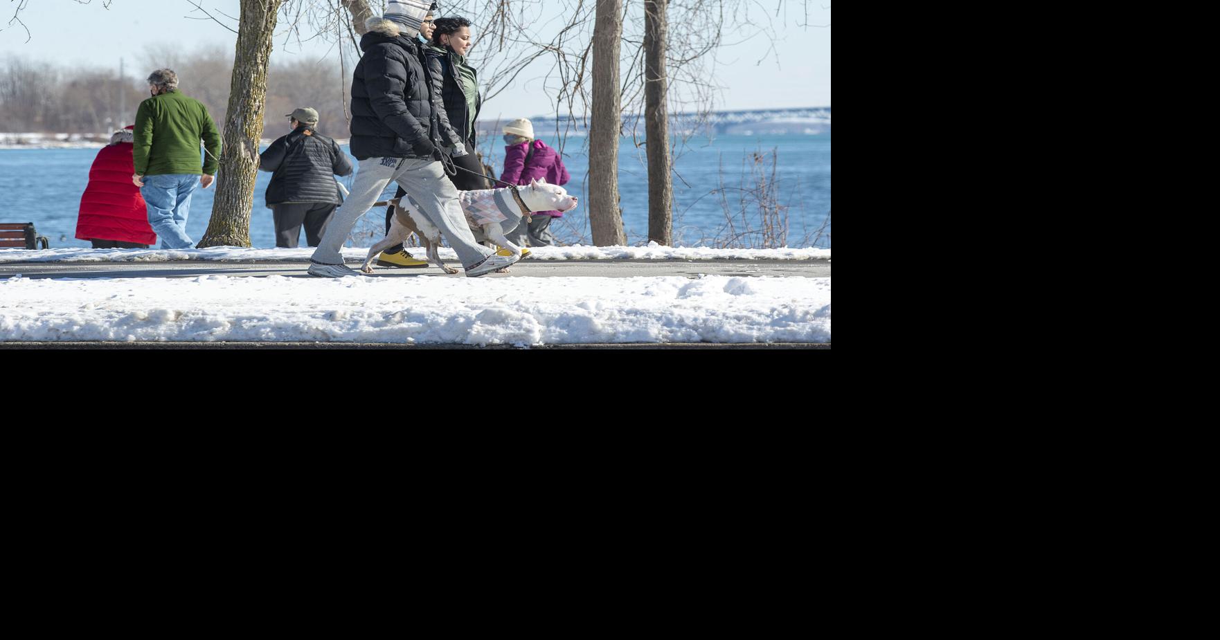 Travel association members to visit Niagara next week