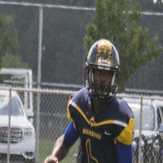 High School Roundup Wolverines Handled Early By South Park