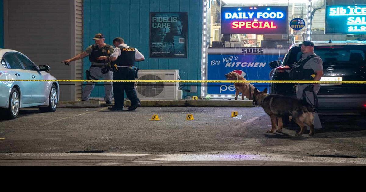 One person killed in Lockport double shooting Crime