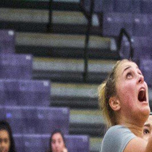 Niagara Women Score Upset Of Ub Sports Niagara Gazette Com