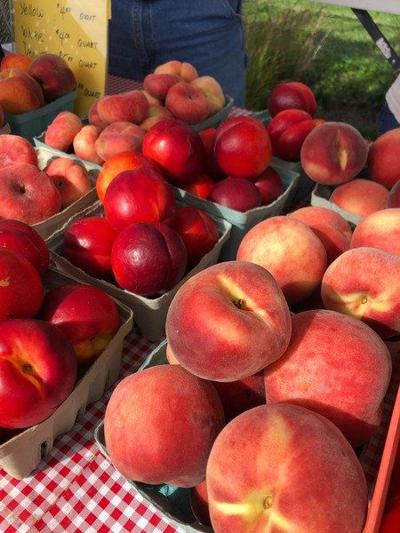 Farmers Market Coupons To Be Distributed Local News Niagara