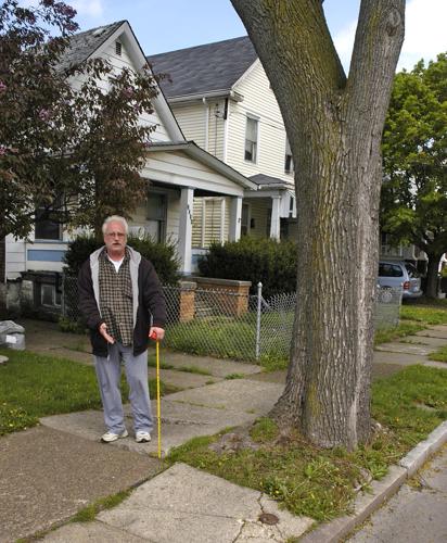 NIAGARA FALLS: City trees have residents barking | Local News ...