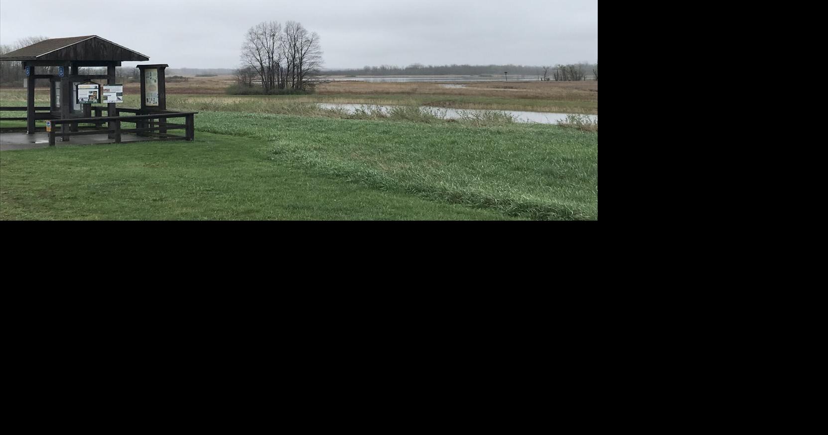 Wildlife corridor plan seeks to link protected lands from Lake Ontario to Southern Tier