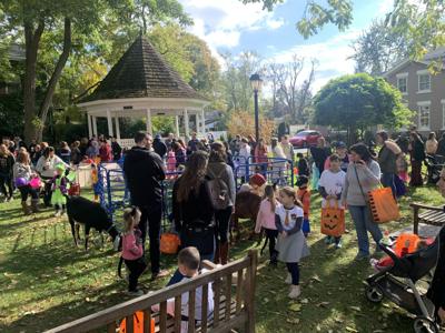 A 'rebuilding year' for the Lewiston Harvest and Hops ...