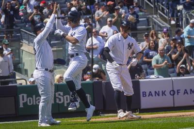 Fan who once caught homer at Yankee Stadium takes professional at