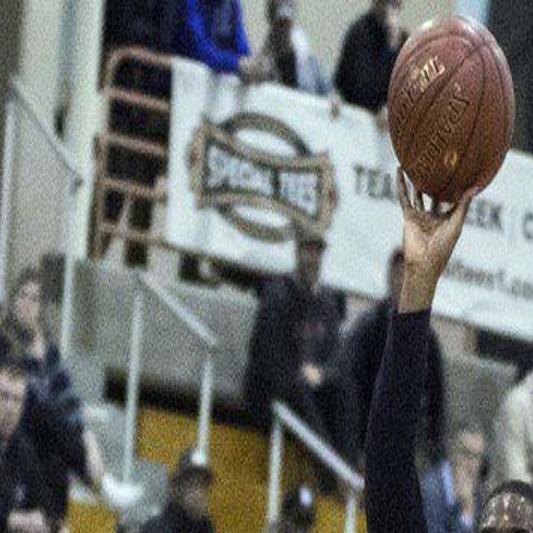 Big Fourth Quarter Sends Wolverines To Final Sports Niagara