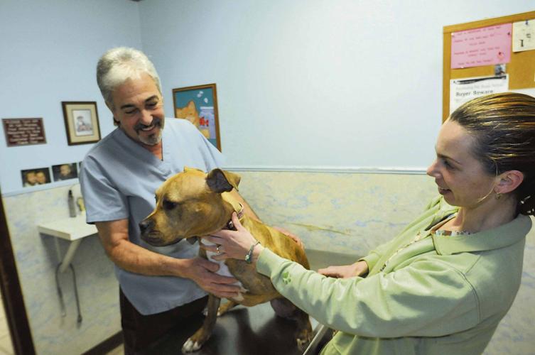 Dr. William Gerber speaks out on issues at SPCA of Niagara | Local News |  