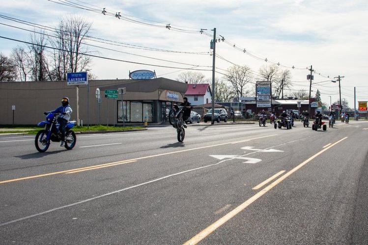 Wild on the Boulevard