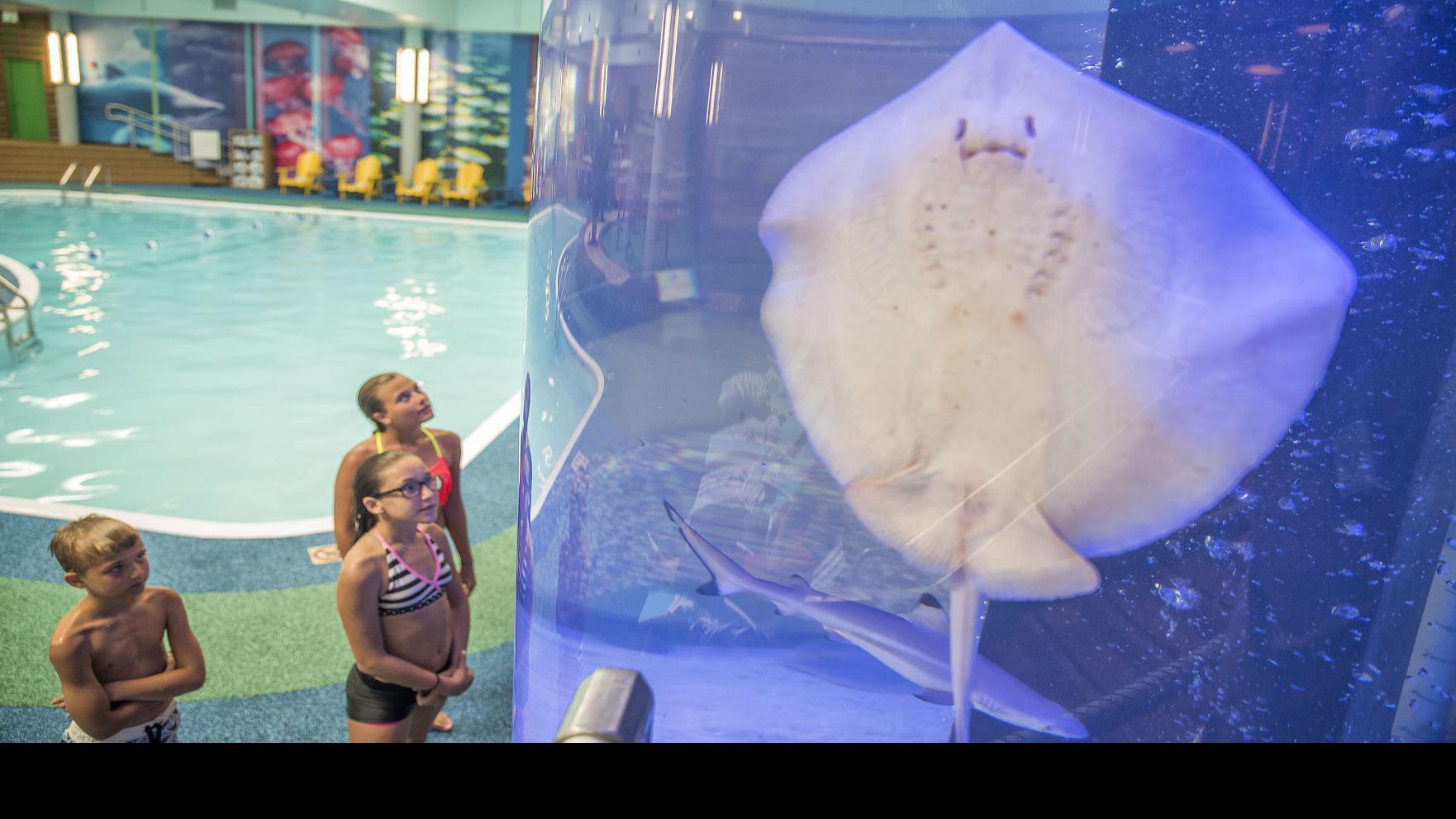SLIDESHOW: Reef Beach Club debuts at Sheraton at the Falls ...