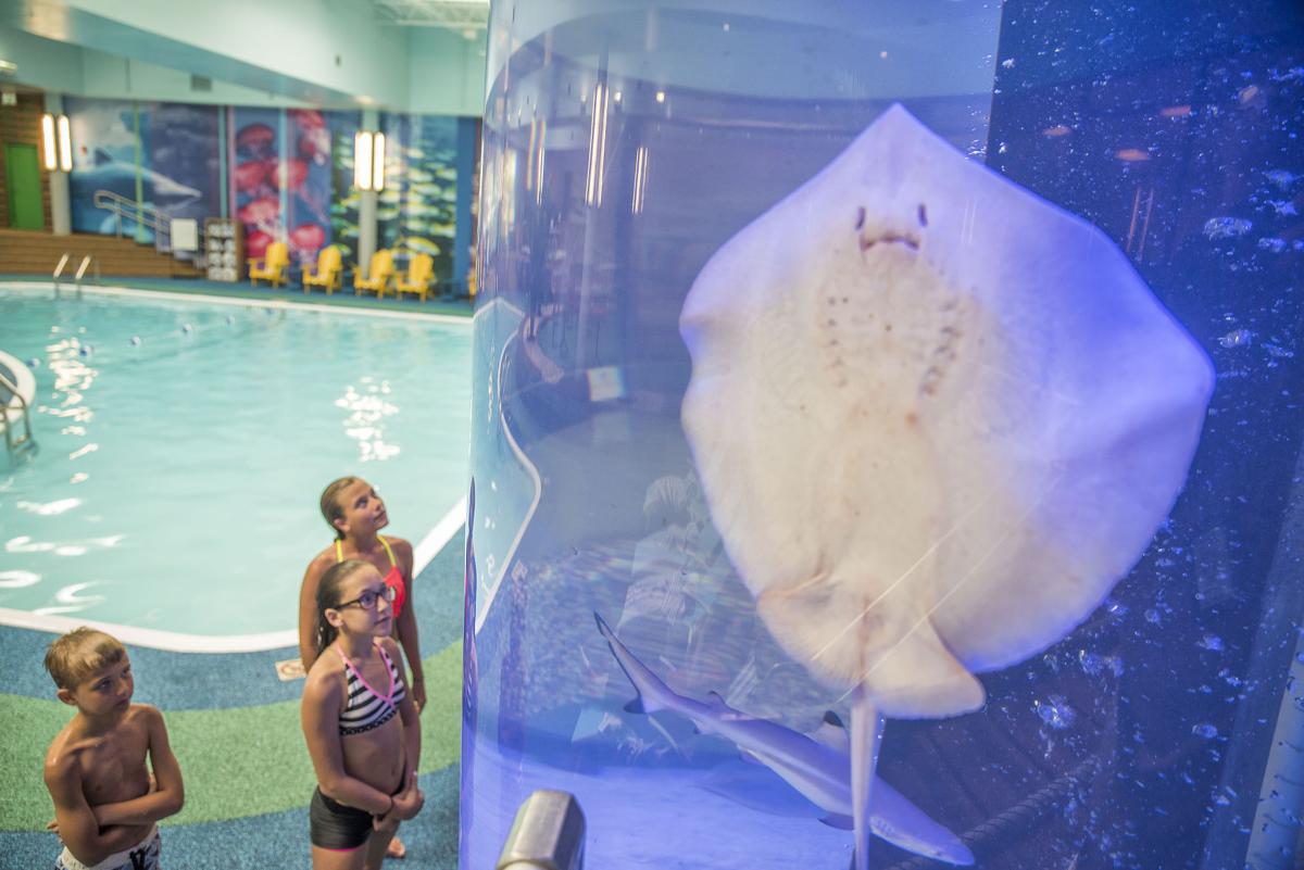 Slideshow Reef Beach Club Debuts At Sheraton At The Falls